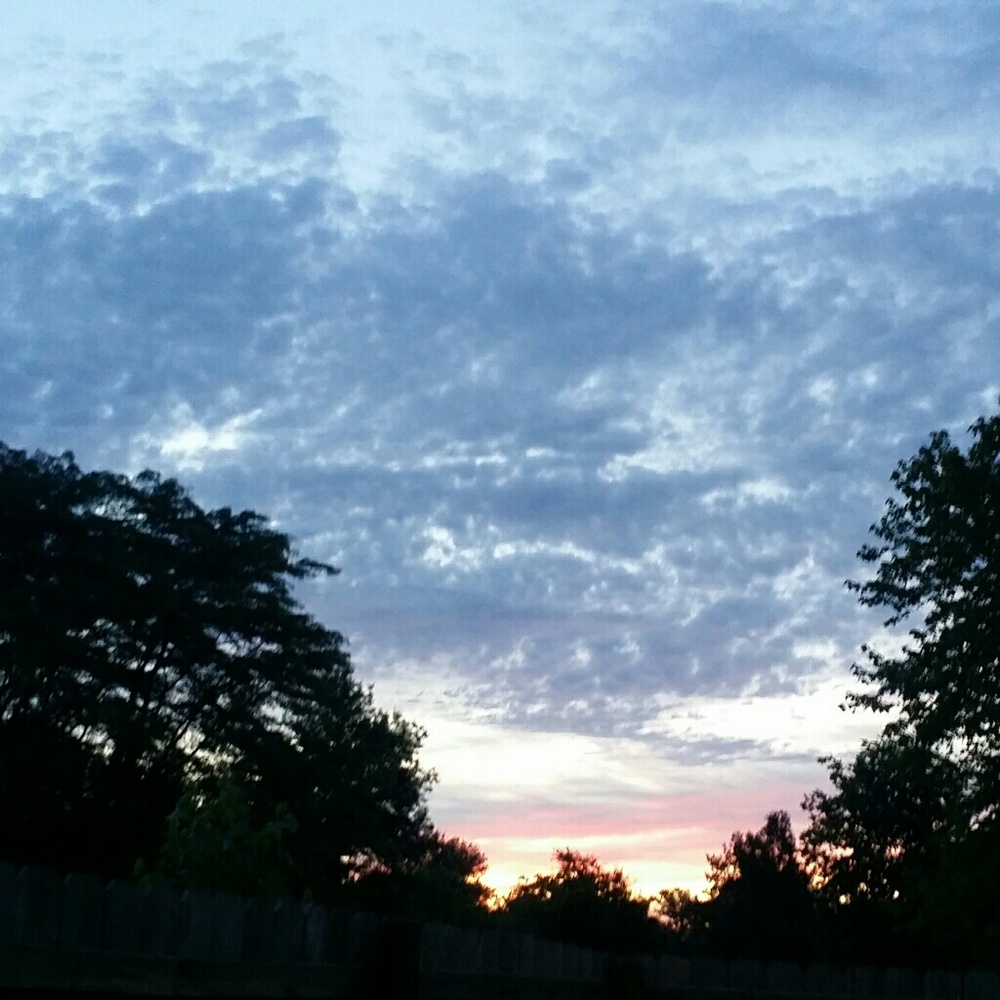 Meet your Posher, Tonya